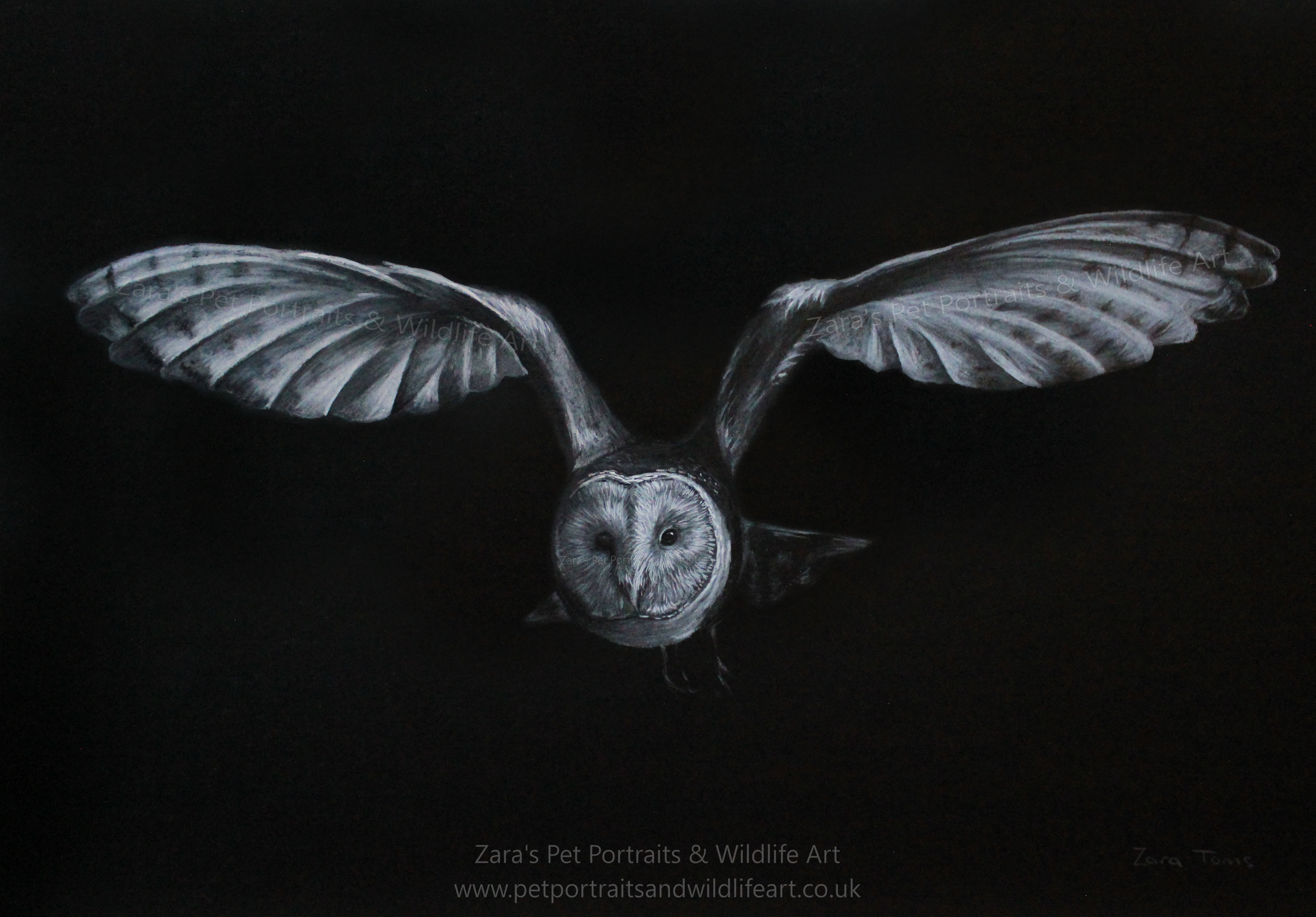 White pencil on black paper