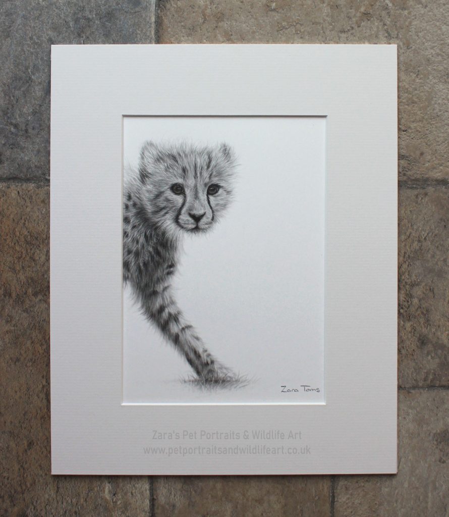 NEW BLACK PAPER DRAWING ** – Zara's pet portraits and wildlife art.co.uk