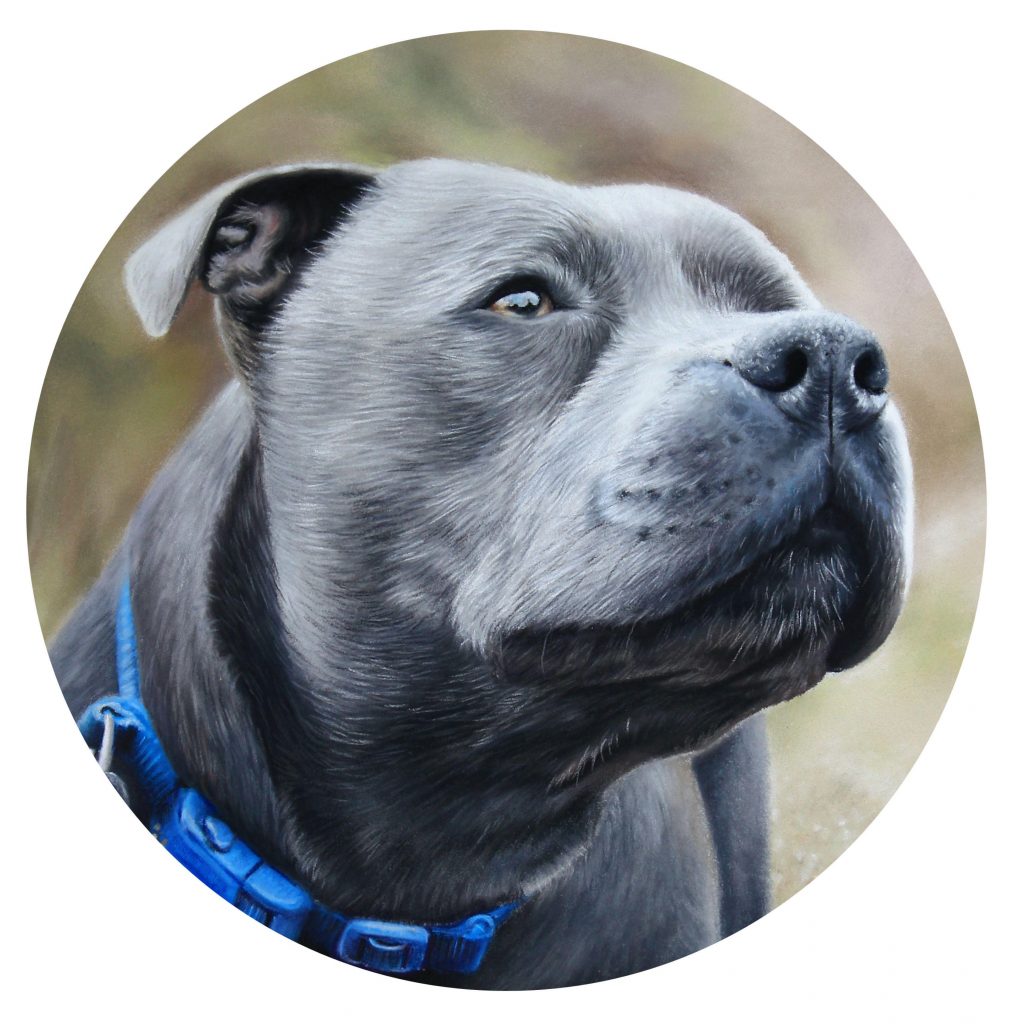 Patreon Zara's pet portraits and wildlife art.co.uk