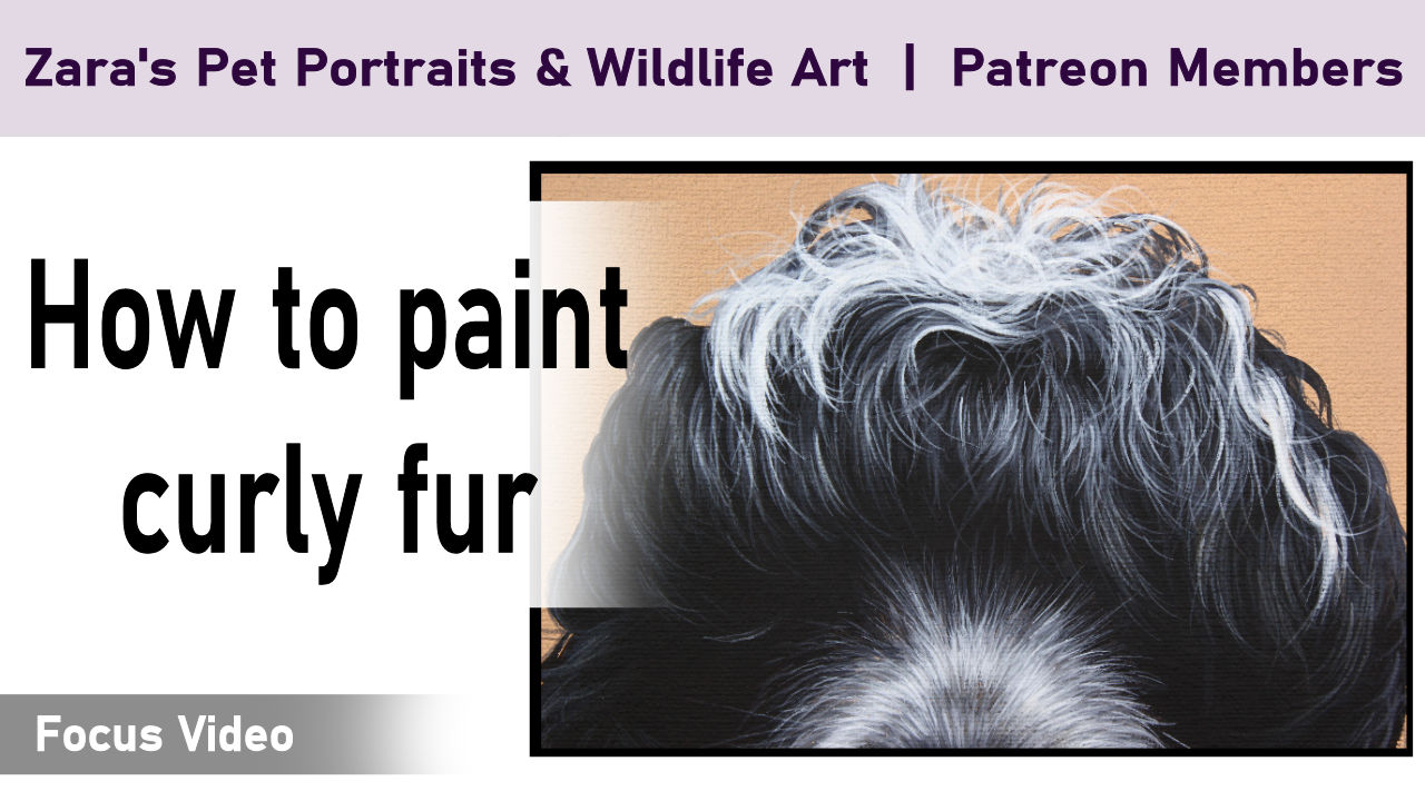 Acrylic Tier Zara's pet portraits and wildlife art.co.uk