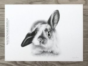 Rabbit graphite tutorial