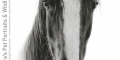 'Chief' 8" x 14" graphite drawing