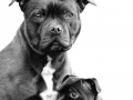Tarla & Solly