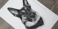 'Axel' A4 graphite drawing
