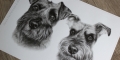 'Buster & Lenny' A3 (11.7" x 16.5") Graphite Pencil Portrait