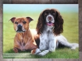 'Maisey & Lexie' 29" x 21" Acrylic on canvas