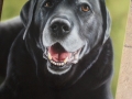 'Charlie'