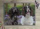 'Tilly & Khan' A3 (11.7" x 16.5") Pastel Drawing