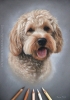 'Alfie' A4 (8.3" x 11.7") Pastel Drawing