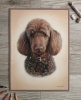 'Barney' A4 (8.3" x 11.7") Pastel Drawing