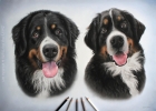 'Titan & Luna' A2 (16.5" x 23.4") Pastel Drawing