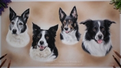 'Ruby, Roxy, Tia & Teddy' 30cm x 55cm Pastel Drawing