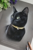 'Cleo' A4 (8.3" x 11.7") Pastel Drawing