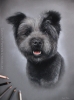 'Shadow' A3 (11.7" x 16.5") Pastel Drawing