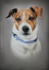 'Gary' A4 (8.3" x 11.7") Pastel Drawing