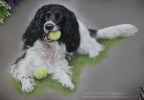 'Dod' 14" x 20" Pastel Portrait