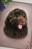 'Harley' A4 (8.3" x 11.7") Pastel Drawing