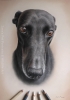 'Ivy' A4 (8.3" x 11.7") Pastel Drawing