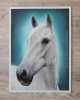 'Tot' A3 (11.7" x 16.5") Pastel Drawing