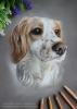 'Leia' A4 (8.3" x 11.7") Pastel Drawing