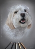 A3 (11.7" x 16.5") Pastel Drawing