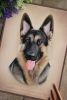 'Mia' A4 (8.3" x 11.7") Pastel Drawing