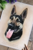 'Nala' A4 (8.3" x 11.7") Pastel Drawing