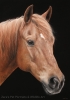 'Dancer' 14" x 20" Pastel Drawing