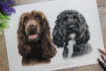 'Betsy & Steve' A4 (8.3" x 11.7") Pastel Drawing