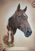 'Doodles & Daz' A3 (11.7" x 16.5") Pastel Drawing