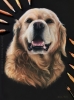 'Teddy' A4 (8.3" x 11.7") Pastel Drawing