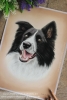'Tommy' A4 (8.3" x 11.7") Pastel Drawing