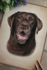 'Willow' A4 (8.3" x 11.7") Pastel Drawing