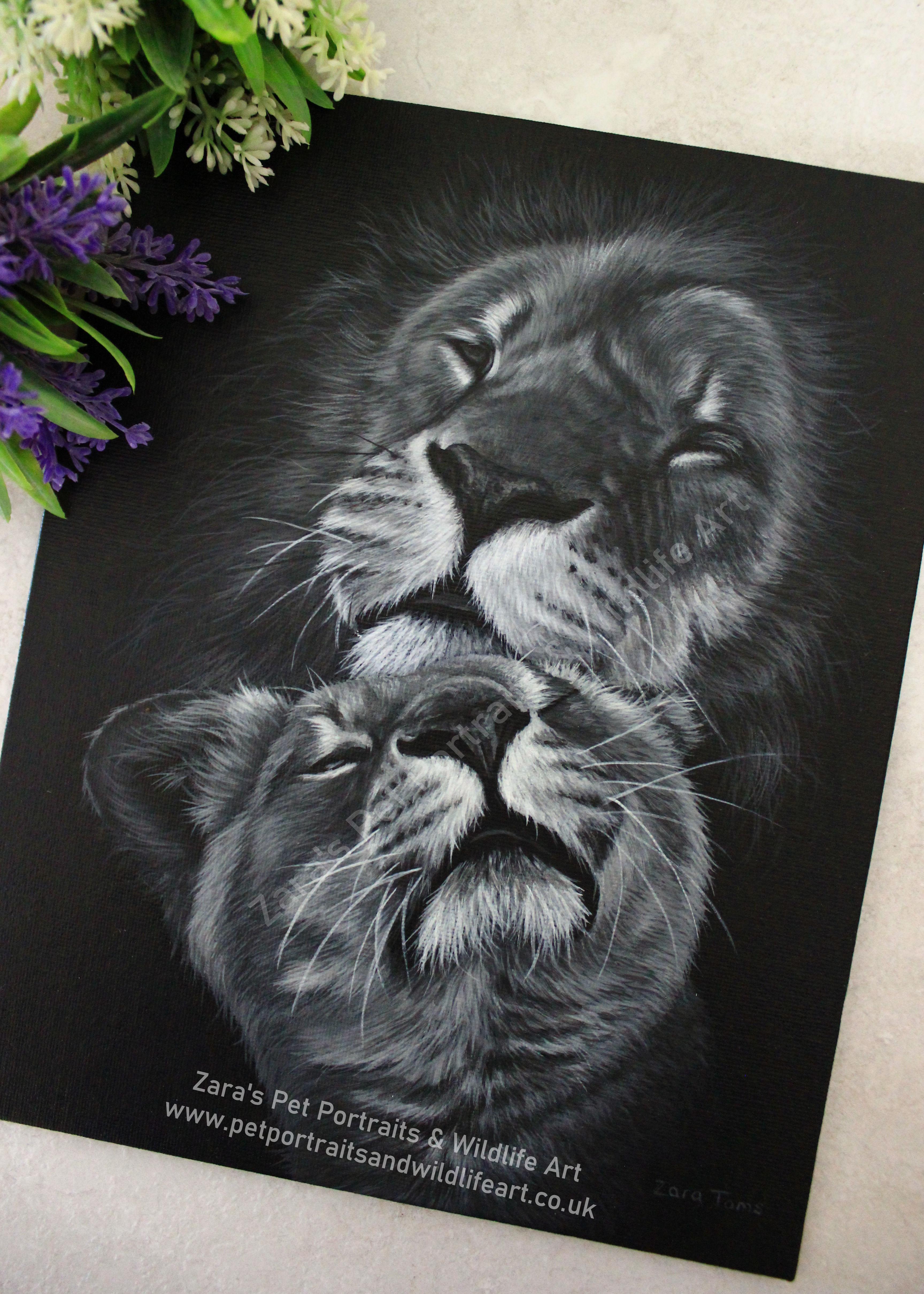 NEW BLACK PAPER DRAWING ** – Zara's pet portraits and wildlife art.co.uk
