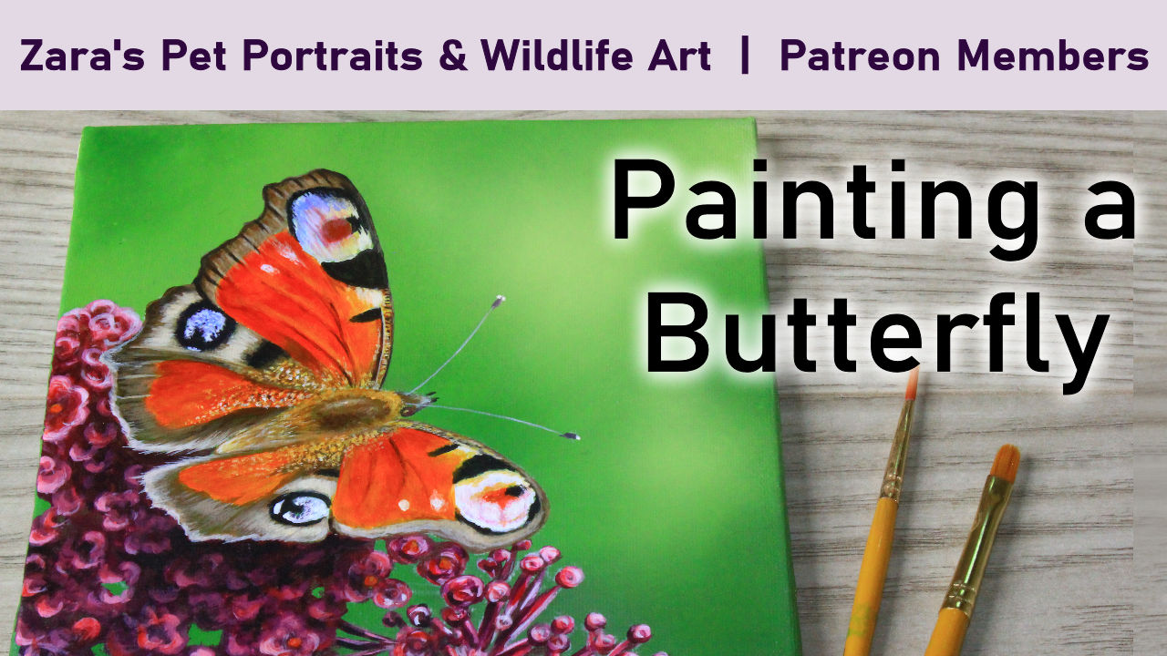 Acrylic Tier – Zara's Pet Portraits And Wildlife Art.co.uk